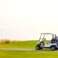 GolfCartGrass GolfCartGrass